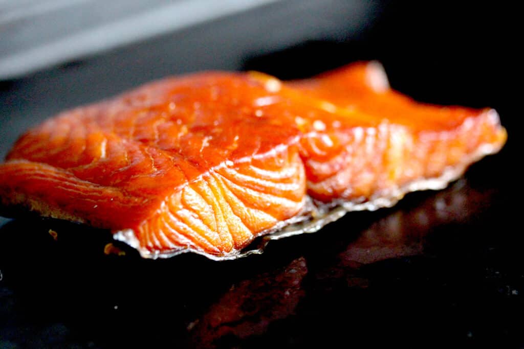 hot-smoked-salmon