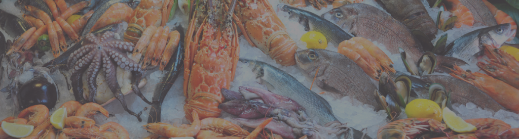 What Fish Are In Season In The UK In August - Jenkins and Son Fishmongers